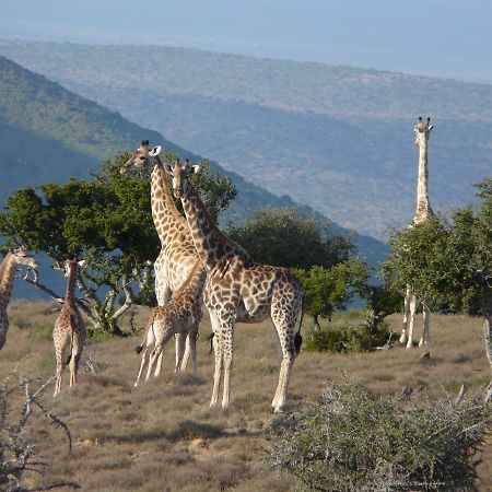 Koedoeskop Private Mountain Reserve Villa Waterford Bagian luar foto