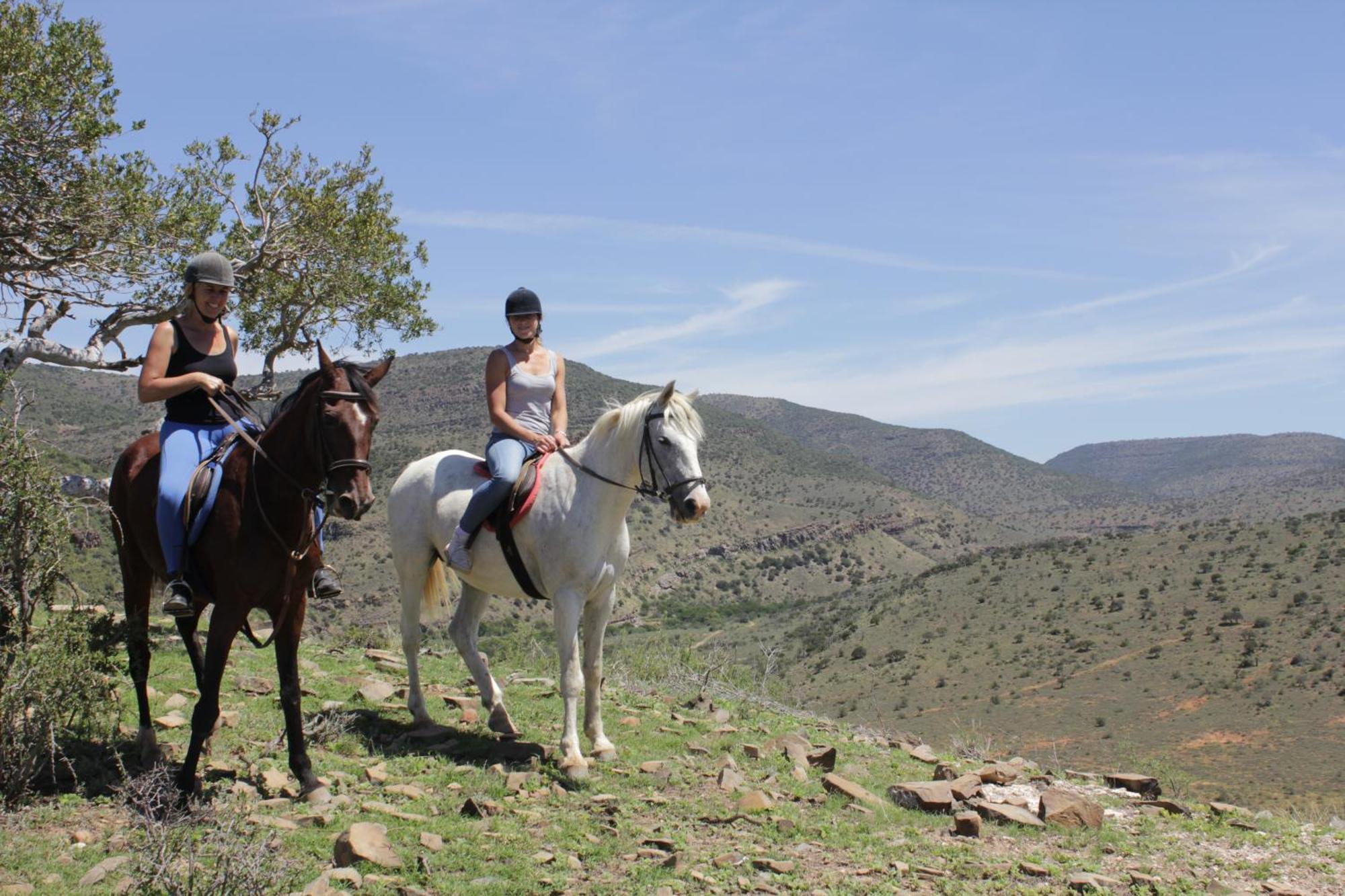 Koedoeskop Private Mountain Reserve Villa Waterford Bagian luar foto