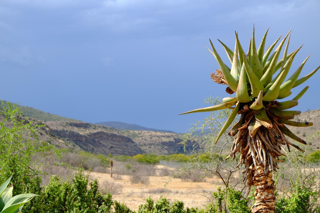 Koedoeskop Private Mountain Reserve Villa Waterford Bagian luar foto